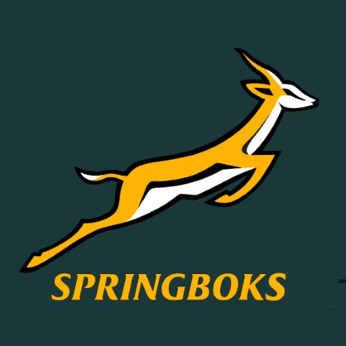 springbok gear Official Springbok Jersey 2025 (Preorder) M