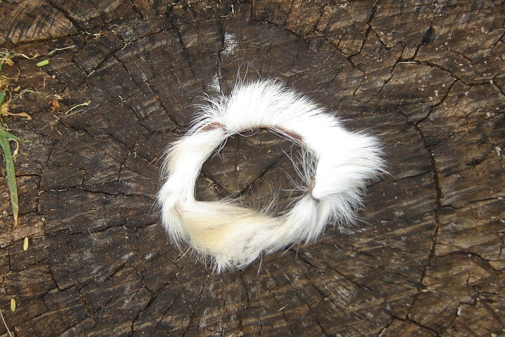 Traditional Zulu  Hand Band