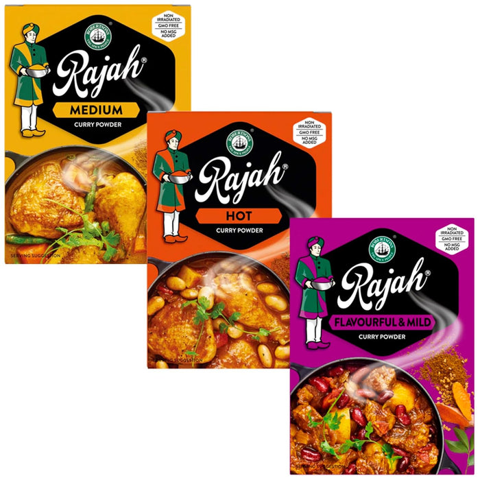 Rajah Curry Powder  Bundle - Includes Medium, Hot, and Mild Curry Powders 100g/3.52oz3_1pack